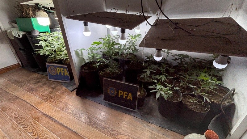 La fuerza federal estuvo a cargo de la investigación.