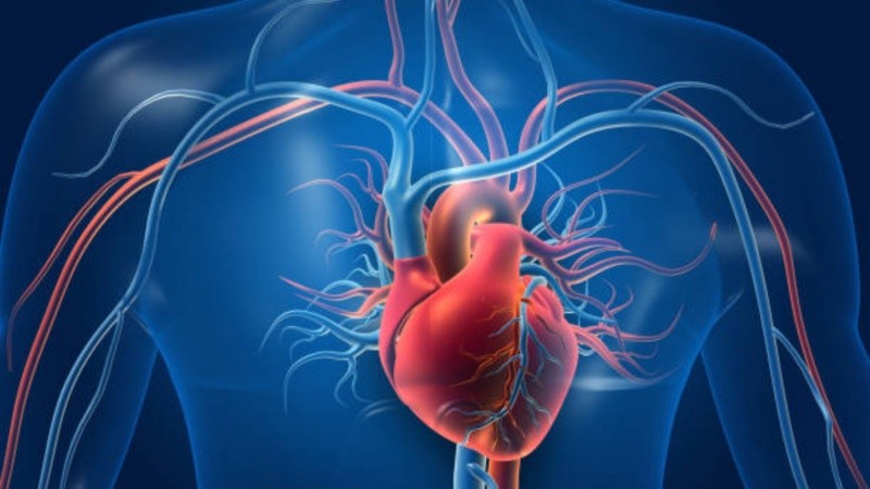 Una intervención mini-invasiva que redefine los estándares de la medicina cardiovascular.