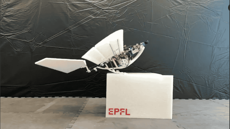 Este robot podría ser útil en misiones de socorro en caso de desastres.