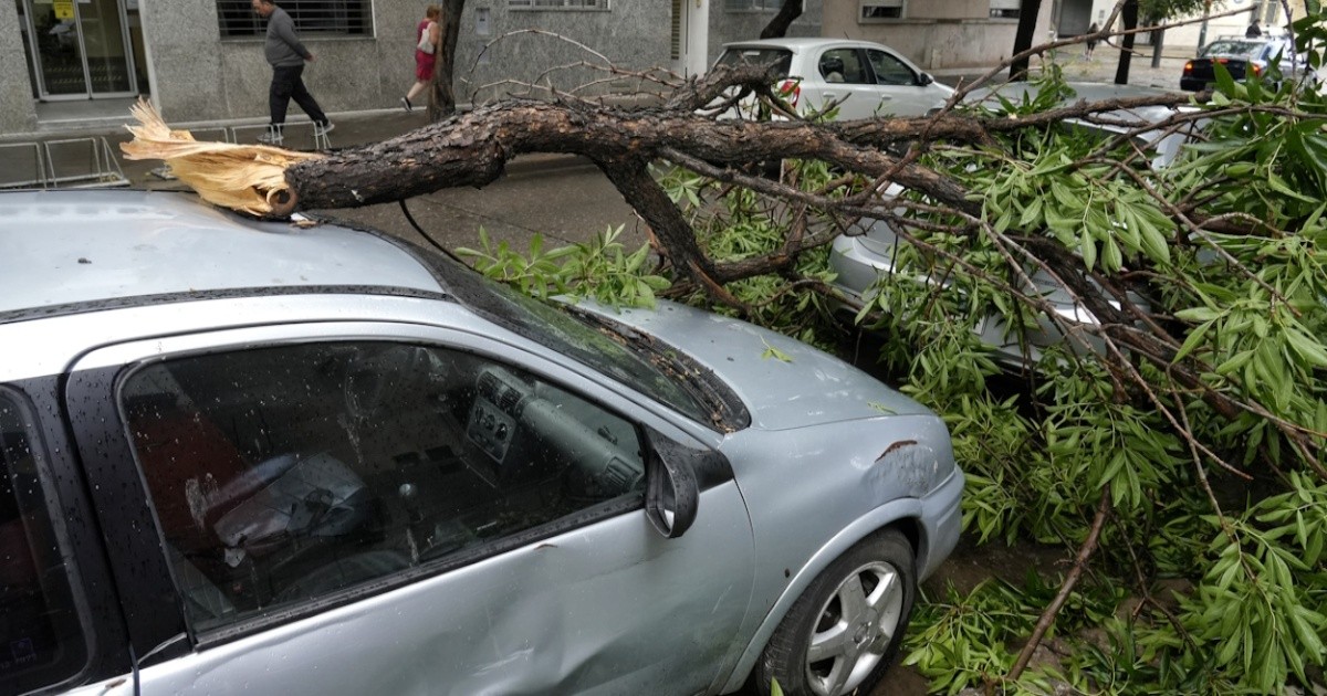 Imágenes de una Rosario sacudida por la tormenta de agua y viento ...