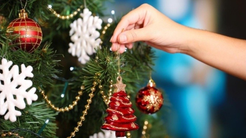 Desde el 8 de diciembre, cada año millones de hogares cuentan con un arbolito.