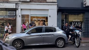 El auto donde permaneció varias horas encerrado el animal, y donde finalmente murió.