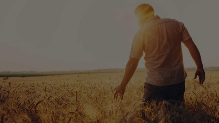 Empresario agropecuario entre las lecciones del 2024 y las promesas del próximo año