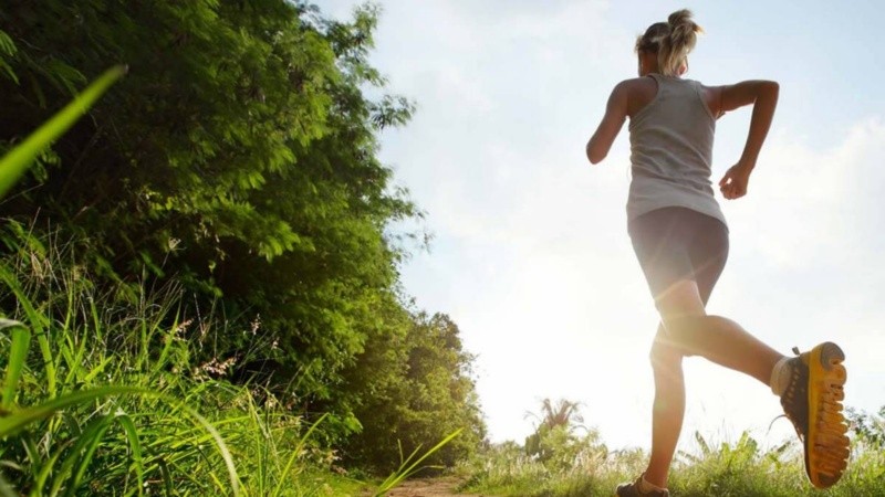 Ideales para implementar sin sentirse abrumados.