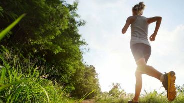 Ideales para implementar sin sentirse abrumados.