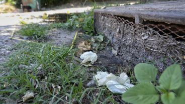 La víctima murió en el acto por los disparos efectuados por el sicario.