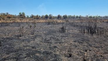 Así quedaron varios sectores de la isla arrasados por el fuego desde el jueves.