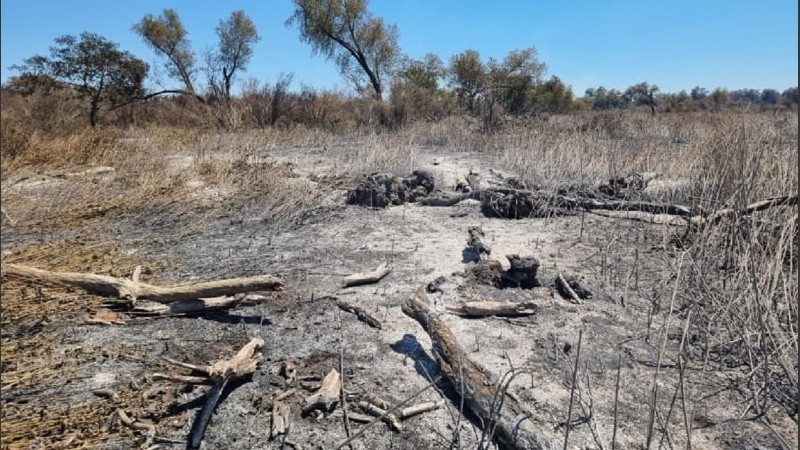 Así quedaron varios sectores de la isla arrasados por el fuego desde el jueves.