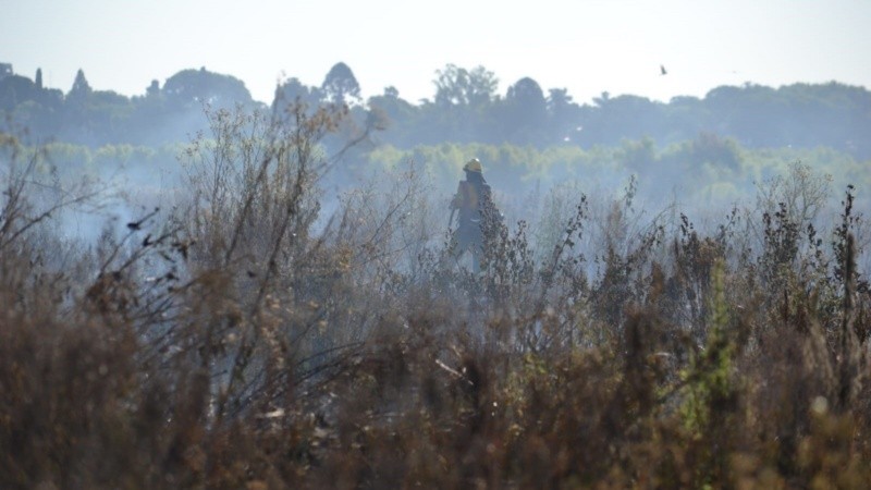 Se realizaban tareas en parte del terreno quemado.