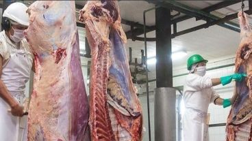 La faena cayó un 4% en Santa Fe durante 2024