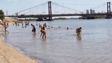 Las playas del área metropolitana de Santa Fe fueron los lugares donde hubo más casos de ataques de palometas.