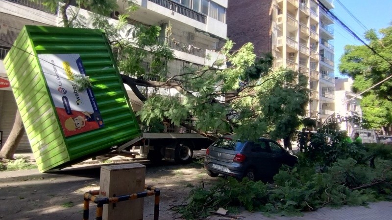 Así quedó el contenedor volcado y el árbol destruido.