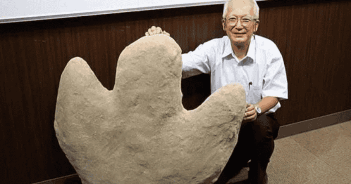Descubren en Mongolia las huellas de dinosaurio bípedo más grande ...