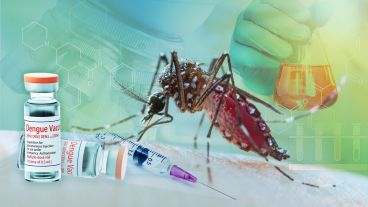 Más de 50 millones de personas de la región de América se ven afectadas.