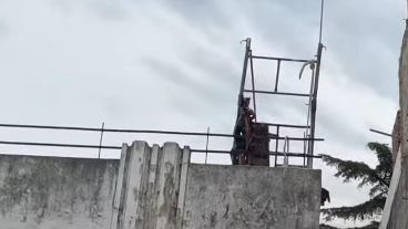 Ambos cuentan con un seguro de accidente.