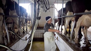 Según Came, el precio promedio de exportación de las economías regionales argentinas se ubicó en u$s1.191 por tonelada.