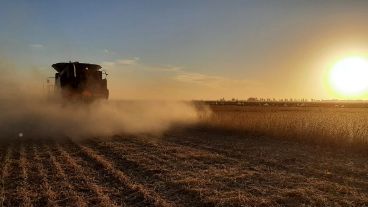“La posiblidad de que ingresen tractores, sembradoras, pulverizadoras nos preocupa porque queremos cuidar la cadena de valor”..