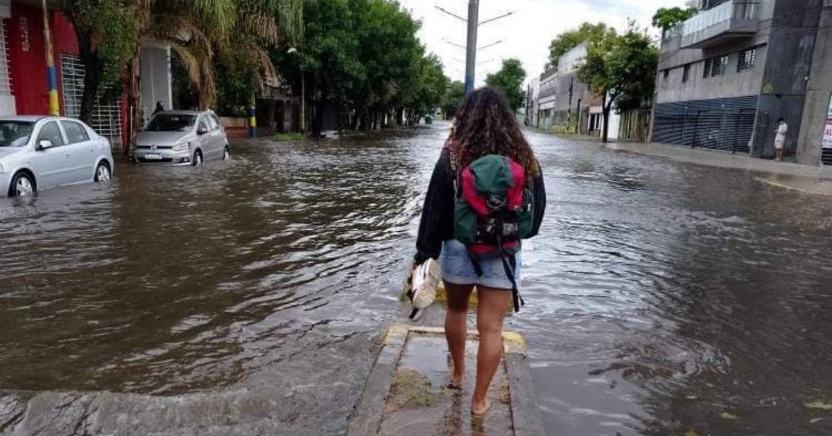 Postales de la tormenta: terminal inundada, árboles caídos y vecinos a ...