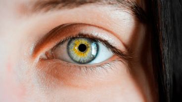 El glaucoma es una enfermedad que daña el nervio óptico y puede conducir a una pérdida irreversible de la visión o una ceguera total.