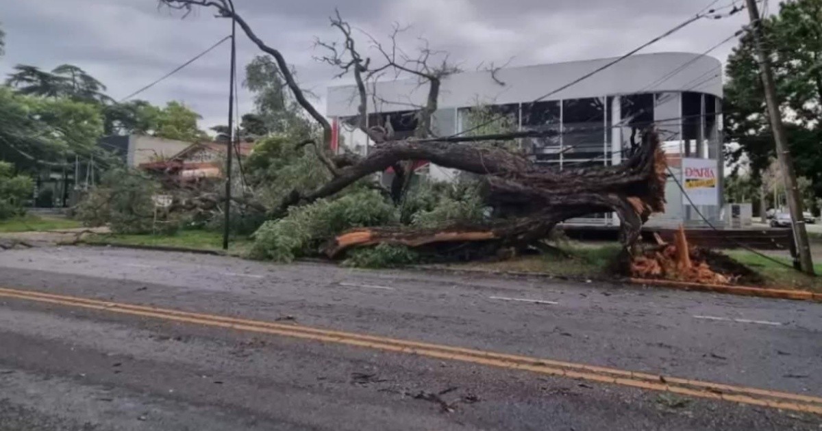 Fuerte temporal en el Amba: techos volados, árboles caídos y cortes ...