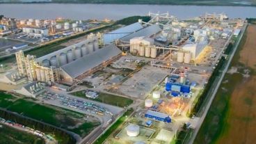 Renova, en Timbúes, es la planta aceitera más grande del país