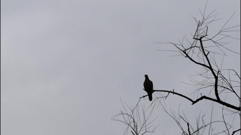 De cara al fin de semana XXL, el termómetro irá en ascenso. Hará calor y lloverá.