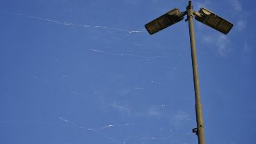 Babas del diablo vuelan por toda la ciudad.