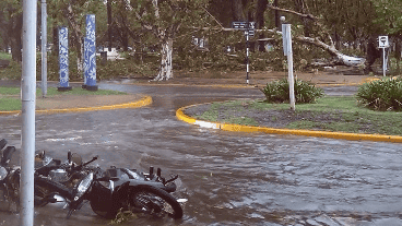 Las cuatro plazas de la ciudad de Casilda, seriamente afectadas.