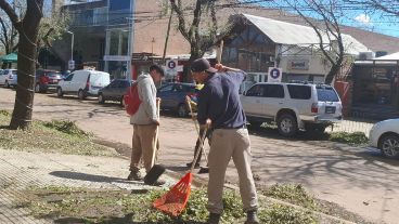 Jardineros municipales colaboraban en la remoción del resabio de granizo en las veredas.