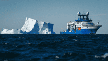 Entre los hallazgos destacan anémonas parecidas a árboles.