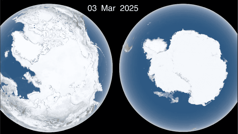 La pérdida de hielo marino tiene graves consecuencias para el ecosistema del Ártico.