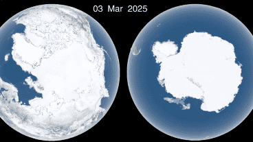 La pérdida de hielo marino tiene graves consecuencias para el ecosistema del Ártico.