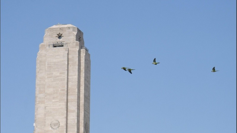 Cielo despejado y frío, así pinta el sábado en Rosario