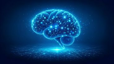 Los hallazgos sugieren que los sistemas inmunológico y nervioso estarían estrechamente conectados.