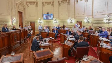 El primer proyecto de ley se presentó en 2002 y el Senado siempre se negó a votarlo.