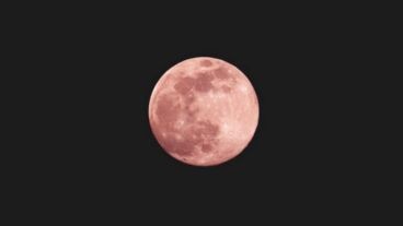 Para poder observar la Luna Rosa no se necesitan equipos especiales de observación astronómica pero el uso de binoculares puede enriquecer la experiencia.