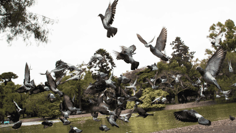 Cielo encapotado y viento soplando desde el sur, así empezó el sábado.
