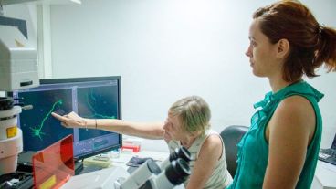Claudia Banchio y Mercyleidi Diaz Reyes trabajando en el proyecto de una posible terapia con exosomas.