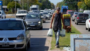 La bolsa con cinco paltas sale 3.000 pesos y 800 son para él.