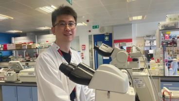 Xuechen Zhang, estudiante de doctorado de último año, observando cómo las células dentales se convertían en dientes en condiciones de laboratorio.