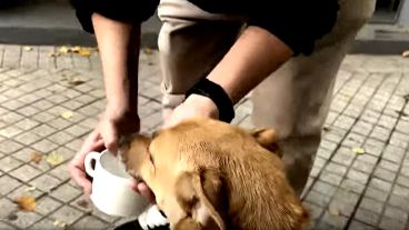 Olga fue hidratada apeanas logró su libertad.