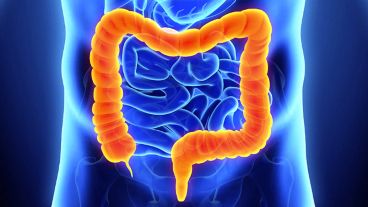 El trabajo fue liderado por la Universidad de California.