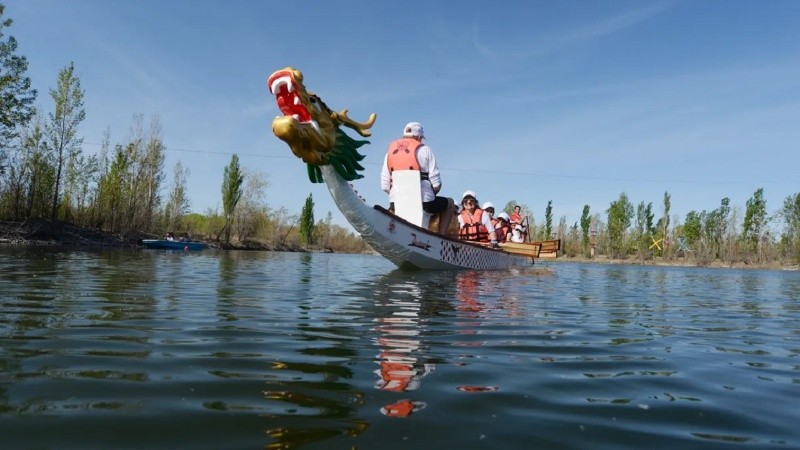 El grupo Chicas Pink reúne a mujeres santafesinas que superaron el cáncer de mama y practican remo en bote dragón.