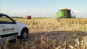 La empresa tomó deuda para stockearse pero las menores ventas les hicieon imposible pagar sus deudas