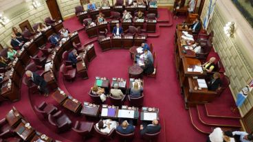 Senadores y diputados del peronismo anuncian una renuncia en bloque a sus fueros.