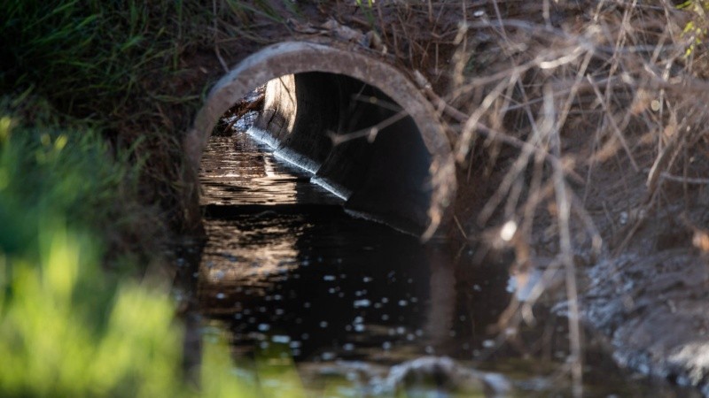 El canal lindero al basural arrojó valores altos para parámetros físico-químicos (DBO, DQO, Cromo total, Níquel).