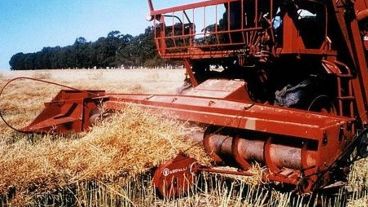 El gobierno nacional habilitó el ingreso de maquinaria agrícola usada importada