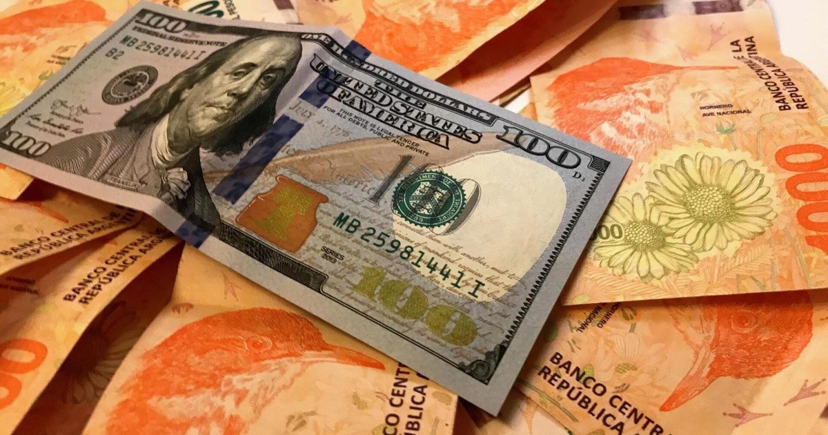 Con una deuda de 400 millones de pesos, la financiera Credifé pidió su