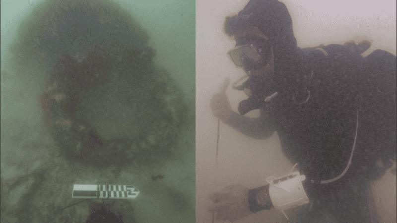 El equipo de investigación planea regresar al lugar con la esperanza de encontrar más restos.