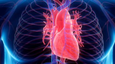 En Argentina, esta patología afecta al 2-3% de la población general.